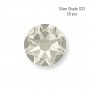Crystal SS3 Silver Shade